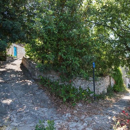 Guesthouse Pavla Говедари Экстерьер фото